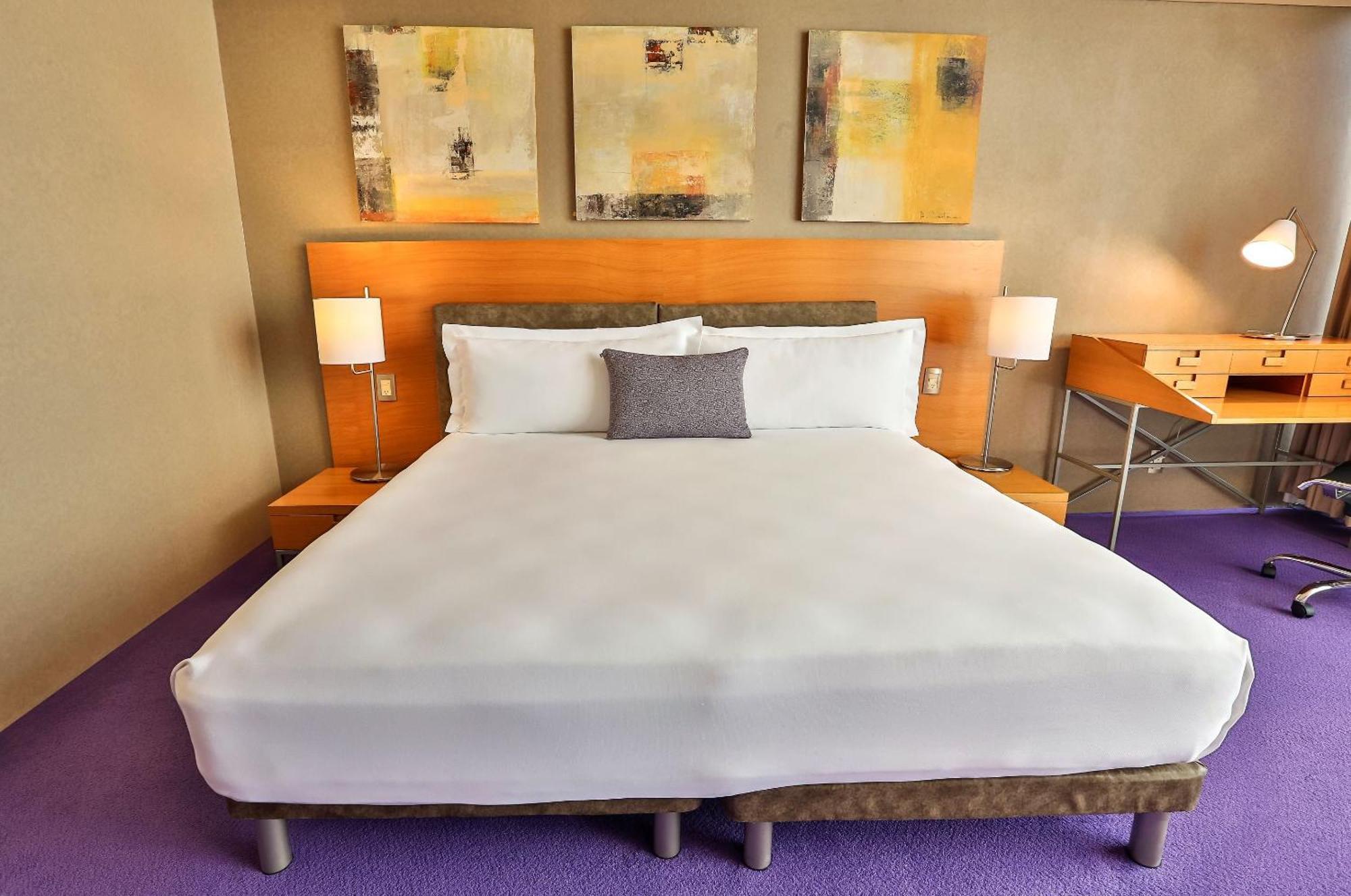 Hotel Camino Real Santa Fe à Mexico Extérieur photo A room at the Standard East Village