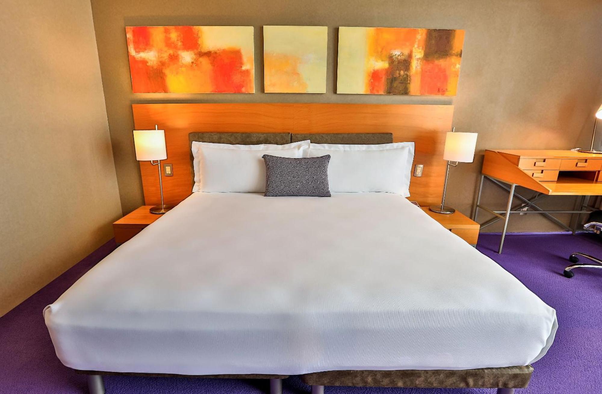 Hotel Camino Real Santa Fe à Mexico Extérieur photo